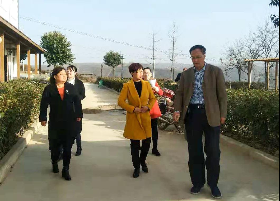 淳化县政府领导到三八妇乐药用植物种植基地调研