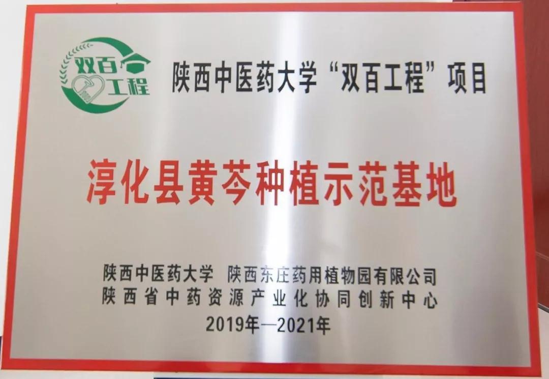 三八妇乐药用植物园获陕西中医药大学授牌，打造黄芩种植示范基地