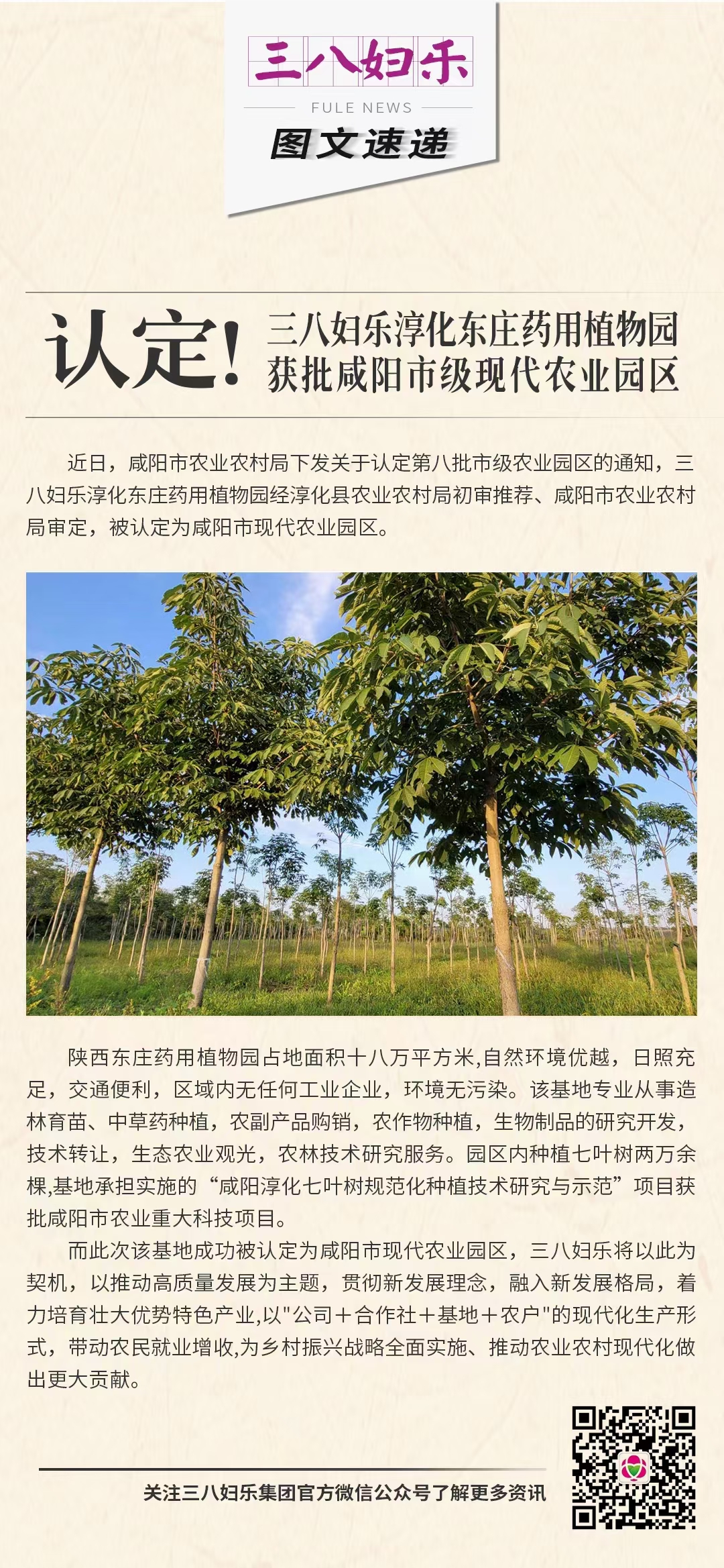 认定！三八妇乐淳化东庄药用植物园获批咸阳市级现代农业园区