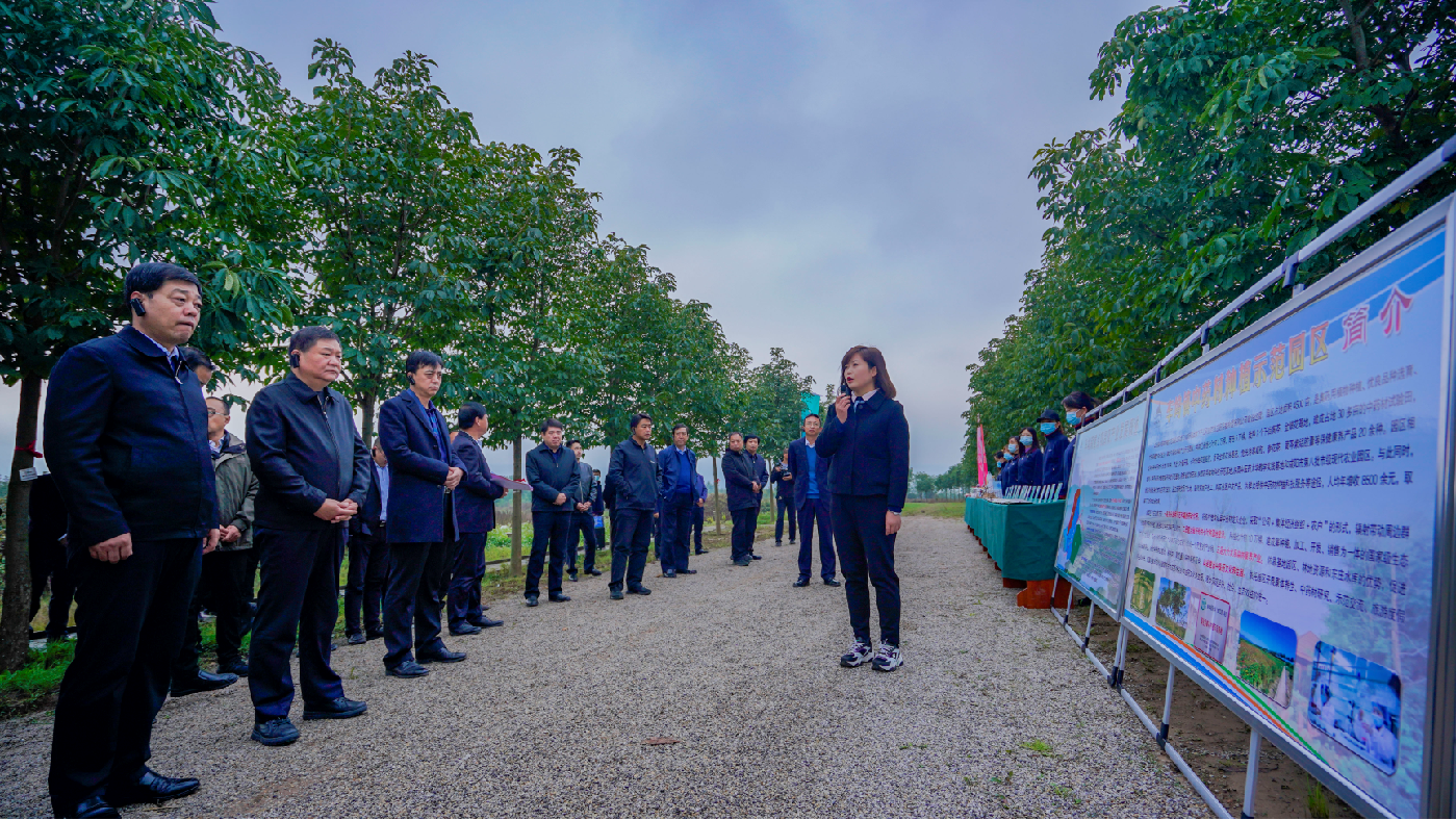 新闻 | 2021年淳化重点项目观摩活动走进三八妇乐东庄药用植物园